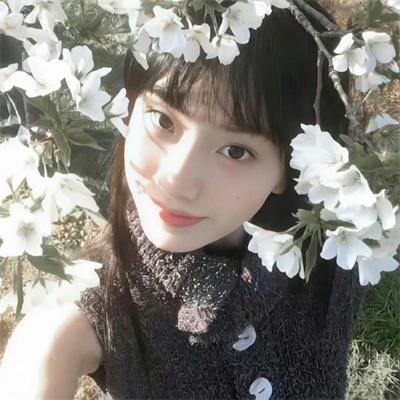 圣法兰西斯港记事